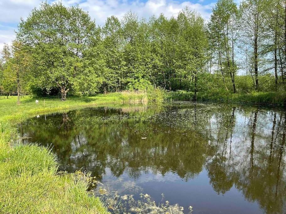 Komfortowy Dom W Lesie Miedzichowo Exteriér fotografie