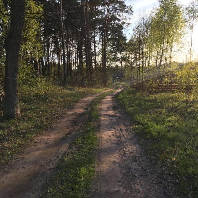Komfortowy Dom W Lesie Miedzichowo Exteriér fotografie