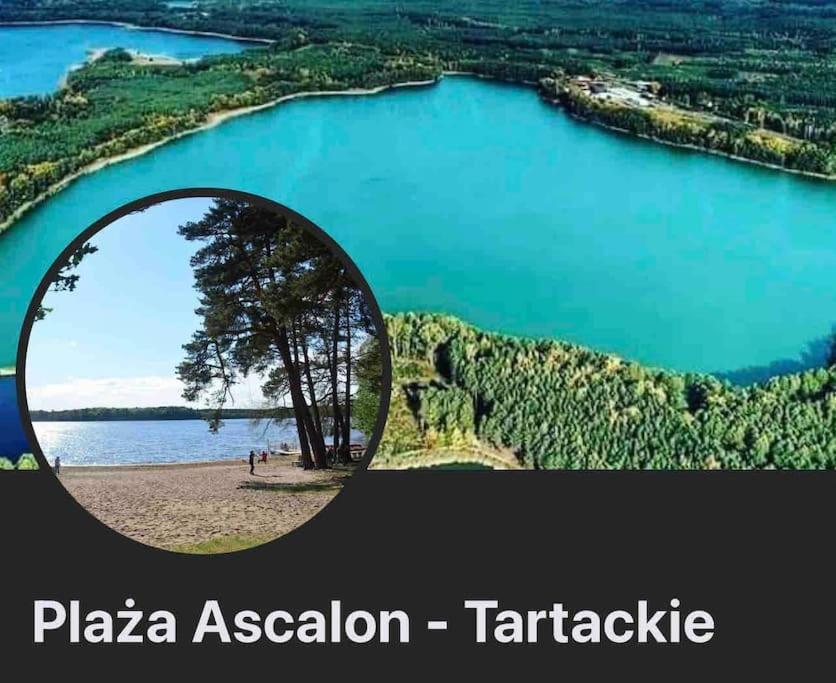 Komfortowy Dom W Lesie Miedzichowo Exteriér fotografie
